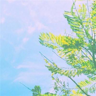 仙之缘手游下载