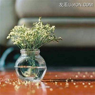 荒原官方版下载